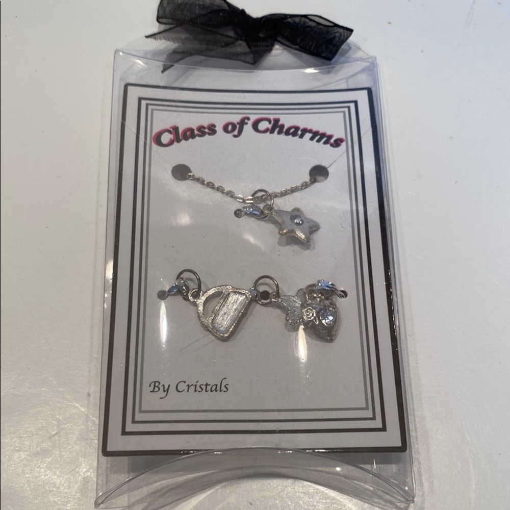 NIP Class of Charms by Cristals